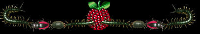 raspberrybar.jpg (7476 bytes)